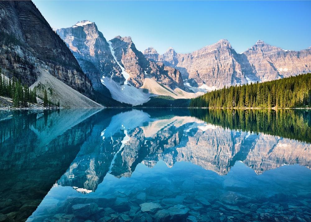 Canada Migration